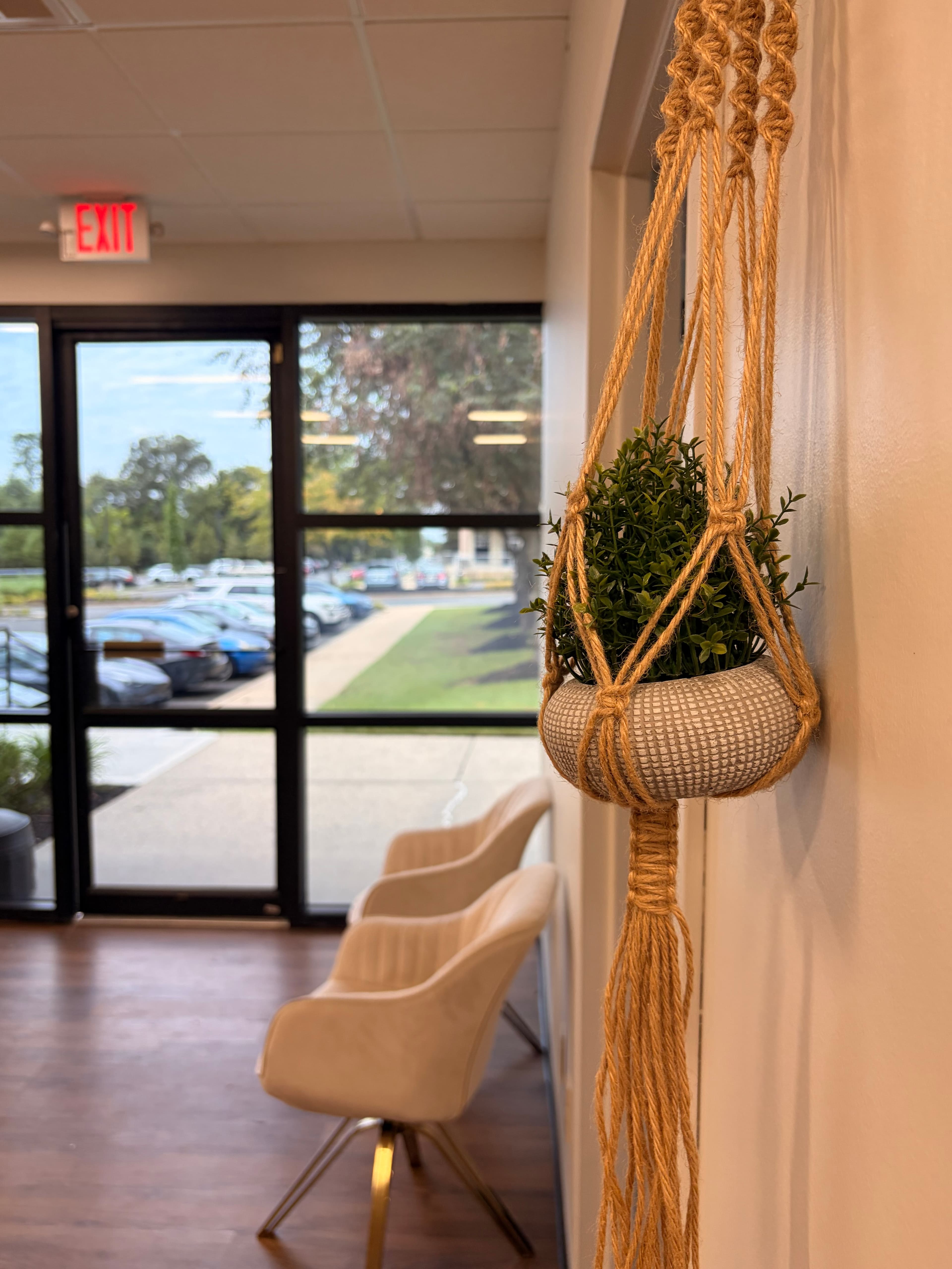 Hanging plant and window seating at INFUDERM New Jersey